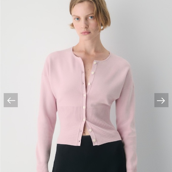 Wilfred Sweaters - Wilfred Go Lightjy Dusty Pink Button-Up Cardigan xs NWT